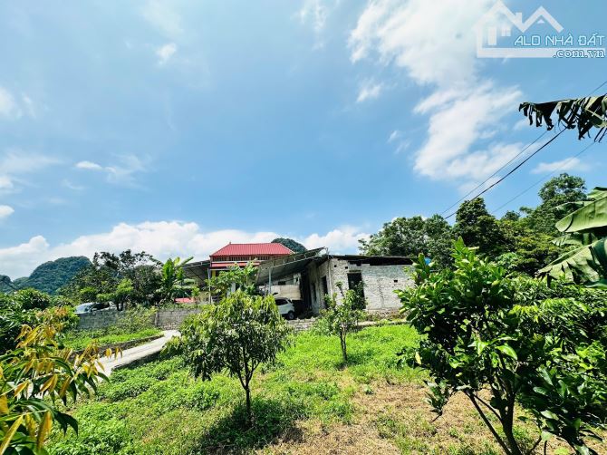 BÁN GẤP LÔ ĐẤT NGHỈ DƯỠNG SÁT HỒ AN THỊNH CÓ DT 1000m2 SẴN NHÀ, NHIỀU CÂY ĂN QUẢ - 2