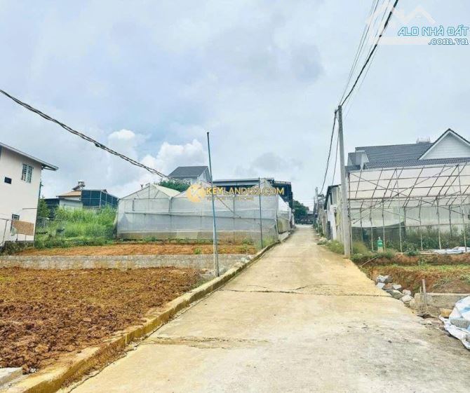 ĐẤT HẺM Ô TÔ LỚN – SỔ RIÊNG – VẠN HẠNH, P.8, ĐÀ LẠT - 3