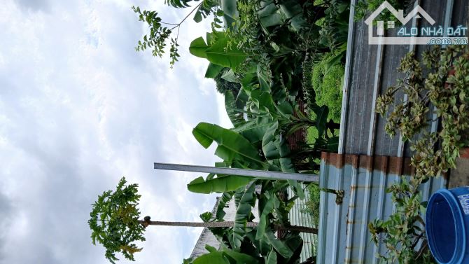 Bán 2 lô đất liền kề - Hẻm 6m Thạnh Lộc 29 - Ngay Chợ Cầu Đồng - Ngang 5m - 90m2 - 3
