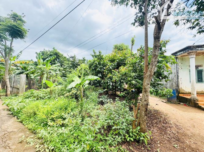 Bán đất phường ekao ,giá cực tốt - 3