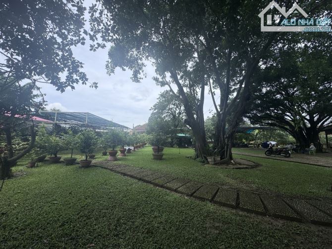 BÁN ĐẤT GÓC 2 MẶT TIỀN – HẺM NHỰA XE TẢI TRÁNH – ĐÔNG THẠNH, HÓC MÔN – 982M² GIÁ 21.5 TỶ - 3