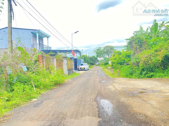🌈🌈Đất Tân Hưng, Phường EAKAO  cách trục chính Y Wang hơn 200m - 3