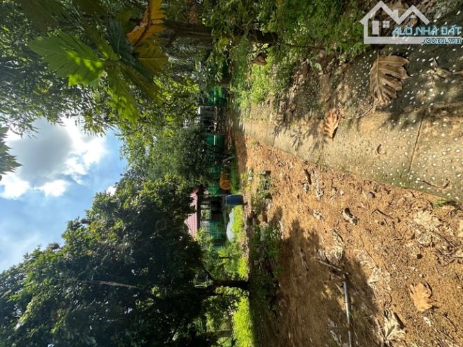 Bán đất thổ cư đường vườn lài phường An Phú Đông quận 12 - 3