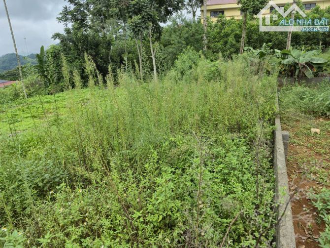 Chỉ với hơn 1 tỷ sở hữu ngay đất có khoáng nóng gần 300m vị trí cực đẹp Kim Bôi Hòa Bình - 3