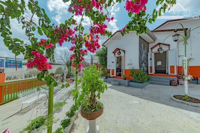 Bán homestay gần 1000m2 mặt tiền Trạng Trình cách Hồ Xuân Hương 500m - 3