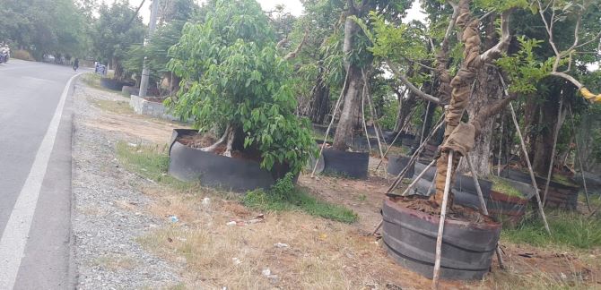Chính chủ cần bán đất mặt tiền Tỉnh lộ 15 – Xã An Nhơn Tây, Củ Chi - 3