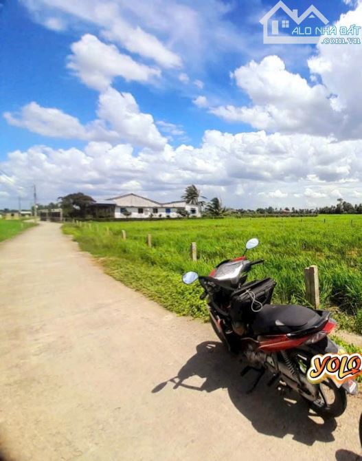 Hàng thơm, 1143m2 đất có  thổ cư đường ô tô Cầu Quay, 1 tỷ 50 tr - 3