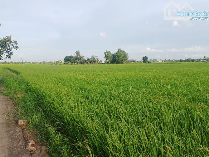CHỦ GIẢM NGAY 💥 200TRIỆU 💥ĐẤT VƯỜN 970m² TIẾP GIÁP MẶT TIỀN ĐƯỜNG - 2