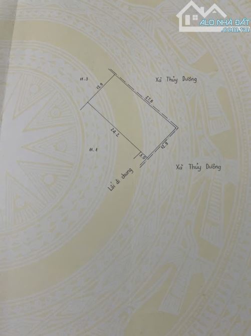 Bán đất thành phố giá nông thôn, tiện phân lô và cây trọ. - 3