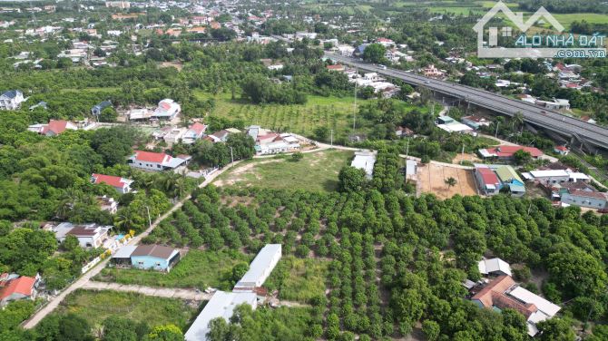 Bán gấp lô đất đẹp 3.033,4m² full thổ cư tại Cam Lâm, Khánh Hòa Giá tốt cho nhà đầu tư - 3