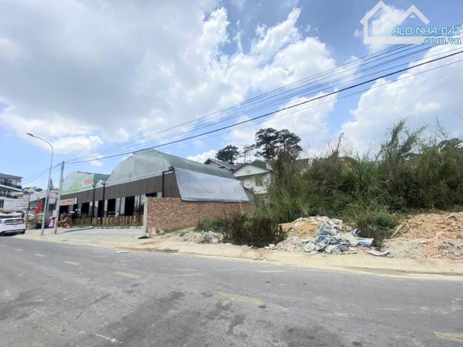 🏡 ĐẤT MẶT TIỀN PHẠM HỒNG THÁI - CÁCH HỒ XUÂN HƯƠNG 500M - KHU VỰC ĐỒNG BỘ BẬC NHẤT ĐÀ LẠT - 3