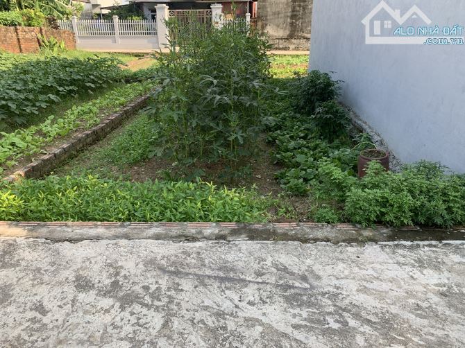 Bán Đất – Yên Ninh (Hiền Ninh – S S) – 42m² – 1,6 Tỷ – Full Thổ Cư – Ô Tô 7 chỗ Đỗ Cửa . - 3