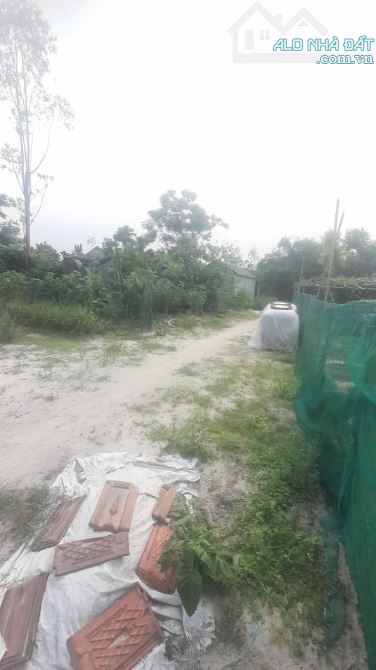 Nóng: Đất phú lương, phú vang chủ cần bán 120m giá 330tr có thương lượng - 3