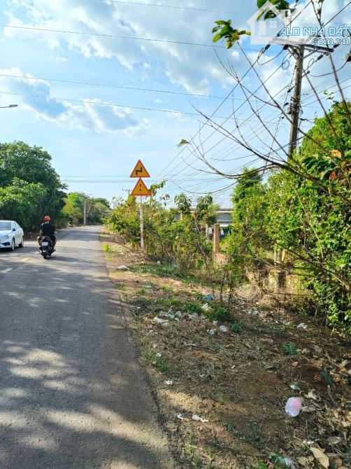Bán hơn 1 mẫu đất Phú Cường, Định Quán, Đồng Nai - 3