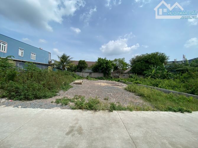 Bán Cặp Đất, Nguyễn Thị Tú, Bình Chánh, 6 tỷ 950/lô - 4
