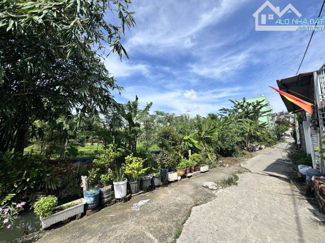 CHỦ BÁN GẤP DÃY TRỌ DÒNG TIỀN, VƯỜN LÀI, AN PHÚ ĐÔNG, Q12, DT 368 M² (11 × 35) - 4