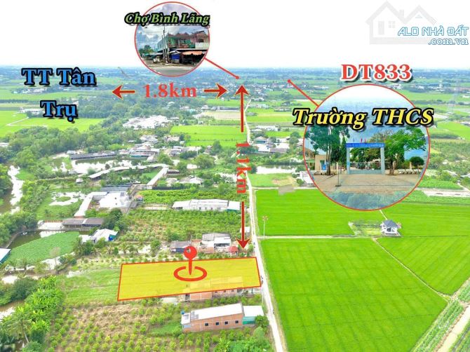 Hàng thơm, 1000m2 đất thổ 20x 50m gần chợ Bình Lãng, 2 tỷ - 4