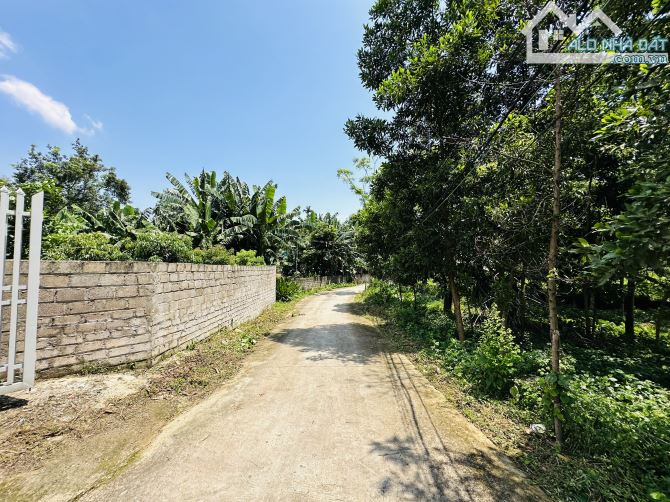 BÁN GẤP LÔ ĐẤT NGHỈ DƯỠNG SÁT HỒ AN THỊNH CÓ DT 1000m2 SẴN NHÀ, NHIỀU CÂY ĂN QUẢ - 4