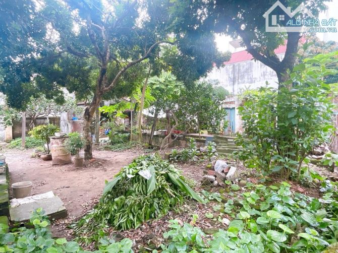 GẤP 520M2 ĐẤT QUANG TIẾN_CHỈ LQ 50 TỶ_CÒN THƯỢNG MẠNH CHO NĐT CHIA PHÂN LÔ - 5