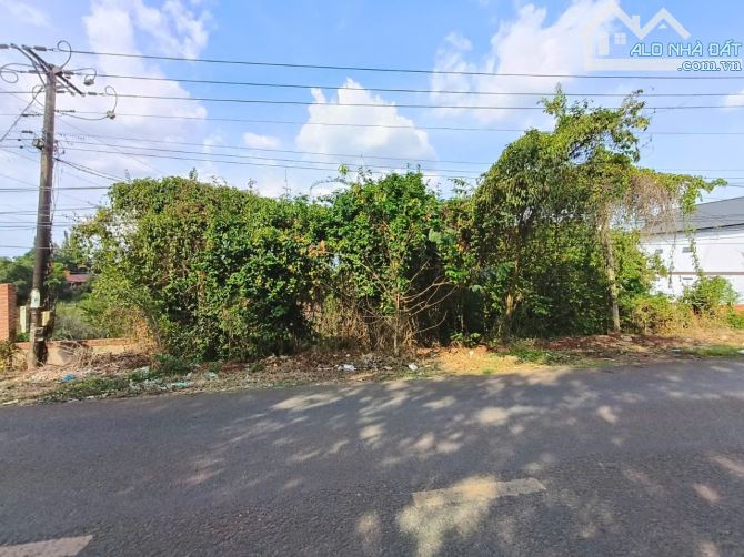 Bán hơn 1 mẫu đất Phú Cường, Định Quán, Đồng Nai - 4