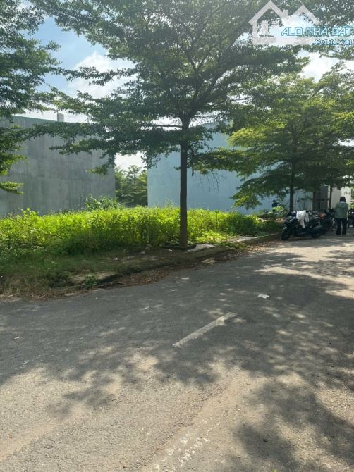 ĐẤT CHÍNH CHỦ CẦN BÁN SỔ RIÊNG THỔ CU PHƯỜNG TÂN TRIỀU ĐỒNG NAI - 5