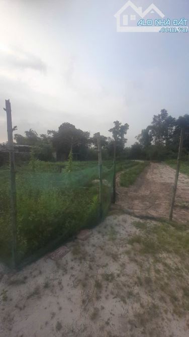Nóng: Đất phú lương, phú vang chủ cần bán 120m giá 330tr có thương lượng - 5
