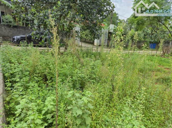Chỉ với hơn 1 tỷ sở hữu ngay đất có khoáng nóng gần 300m vị trí cực đẹp Kim Bôi Hòa Bình - 6