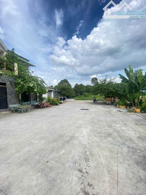 Bán nhà 1T1L 5x20m, mặt tiền Trần Đại Nghĩa P. Bình An gần chợ Bình An - 6