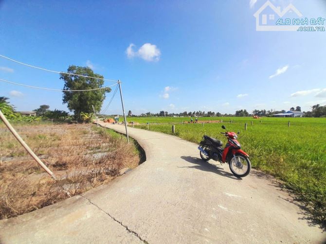 Hàng thơm, 1143m2 đất có  thổ cư đường ô tô Cầu Quay, 1 tỷ 50 tr - 7