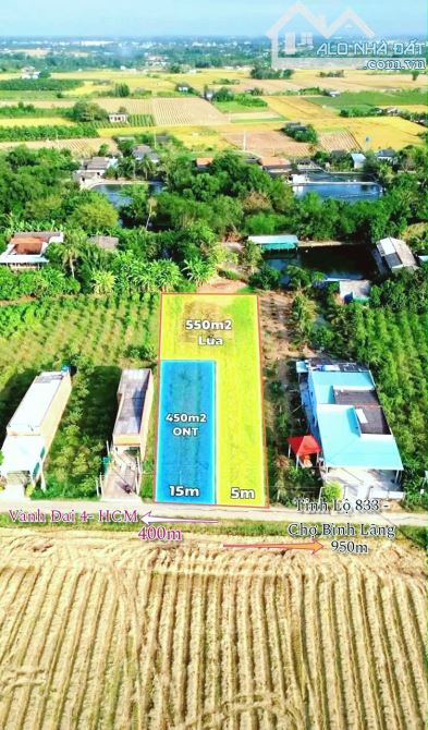 Hàng thơm, 1000m2 đất thổ 20x 50m gần chợ Bình Lãng, 2 tỷ - 7