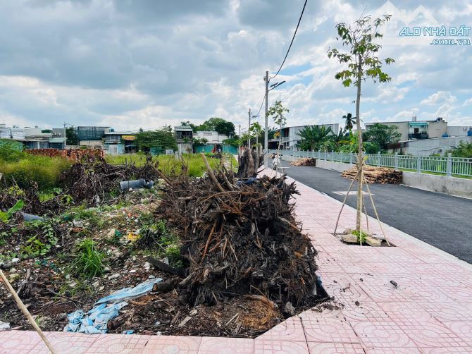 BÁN NHANH ĐẤT MẶT TIỀN THẠNH XUÂN 25, Q12 – CƠ HỘI ĐẦU TƯ SINH LỜI CAO - 8