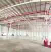 Cho thuê kho xưởng KCN Bến Lức, Long An 3600m2 - 15.000m2