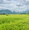 VIEW SIÊU ĐẸP-MẶT TIỀN 34m-KHU ĐỒNG GIÓ HỒ SỞ BÔNG-Dt:485m2-34mx31m-95 thổ cư-sổ sẵn-2ty5