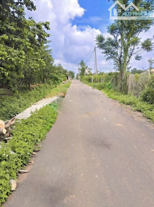 Đường nhựa Quảng Thành BRVT chỉ 560tr sát Trường Học - 2