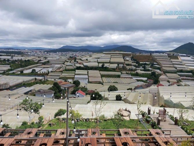 Bán Đất Kqh Huỳnh Tấn Phát, Phường 11, Tp. Đà Lạt – Vị Trí Gần Xóm Lèo, View Đồi Thông Thơ
