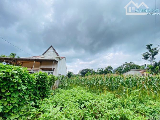🔥 ĐẤT CUÔC ĐĂNG GIÁP HOÀ THUẬN 5x50 NGAY SAU TRẠM DỪNG CHÂN HOÀN NGHĨA
