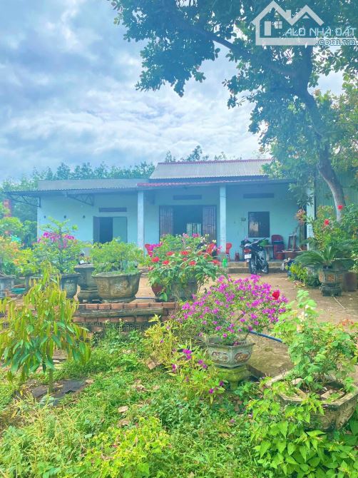 Chú Tám cần bán đất vườn trái cây sẳn nhà cấp 4 ở Bình Dương, rộng 2541m2, thổ cư, giá rẻ