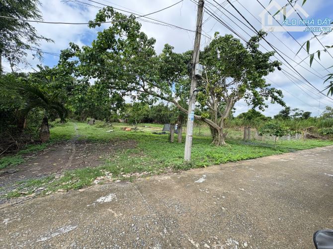 ĐẤT VEN SÔNG RỒNG NHÀ BÈ 36x90m ĐƯỜNG Ô TÔ GIÁ CỰC TỐT