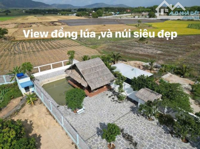 884m phươc hải có 400m thổ cư gần biển view cánh đồng lúa