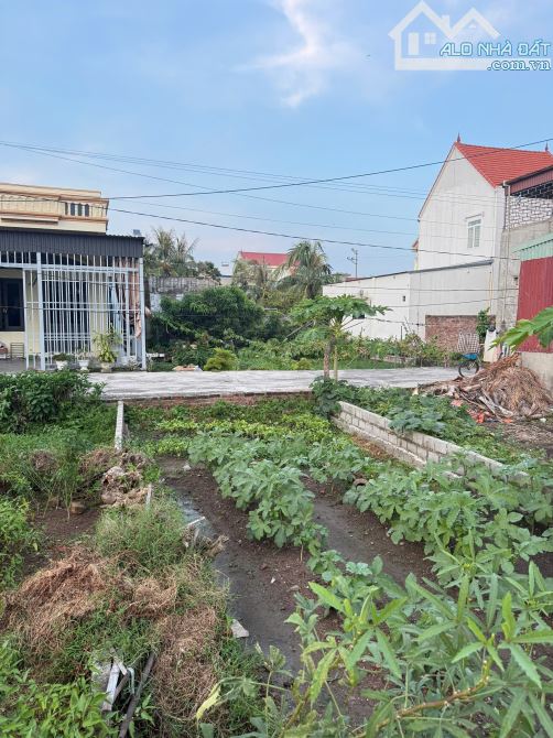 Bán đất Hòa Nghĩa 104m2 ngõ 5m giá chỉ 1,x tỷ