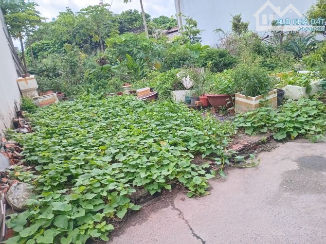 Bán lô đất đẹp thổ cư 100%,phường tân phong,đường hồ hòa,diện tích 4 x 16m,giá 1 tỷ 890 tr