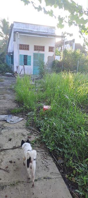 Bán đất full thổ cư - 275m2 ngay Nguyễn Hữu Trí Long An - ngang 6.5m - giá 3.3 tỷ ( tl )