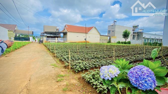 CHỈ HƠN 3 TỶ CÓ NGAY LÔ ĐẤT 280M2 NGAY NASA - ĐỨC TRỌNG - LÂM ĐỒNG