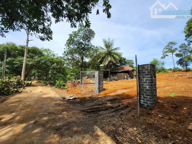 Tiếc quá Đất view hồ lung linh 1000m thoáng mát chính chủ cần bán giá chỉ hơn 1 tỉ Lạc Sơn