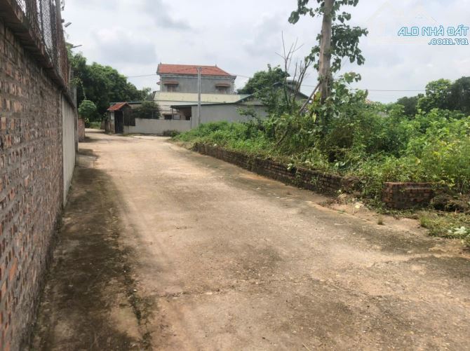 LÔ GÓC HOA HẬU PHÚ THỊNH, MINH PHÚ, SÓC SƠN DIỆN TÍCH 100M2 HAI Ô TẢI TRÁNH