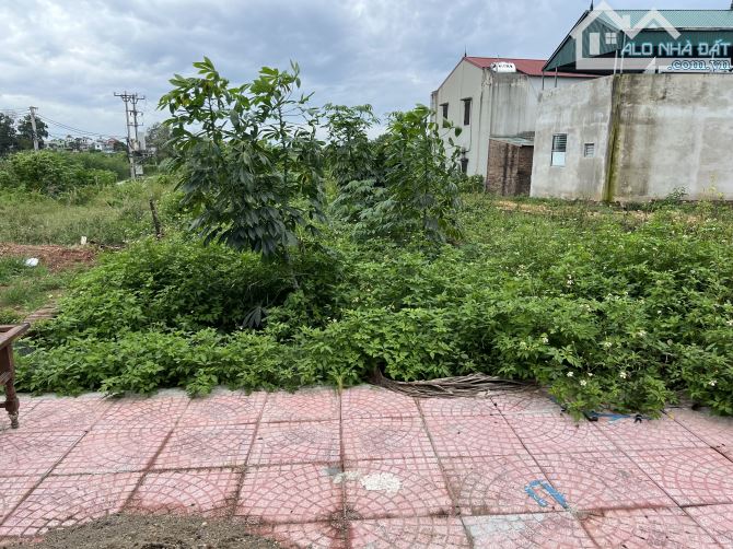 133m full .Đông Sơn -Quang Tiến -Sóc Sơn .Giá rất tốt cho bạn quan tâm.
