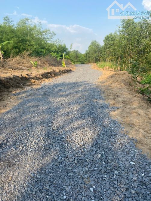 bán 1001m2 đất cso sẵn 80m2 thổ cư,đất cso 30m mặt tiền đường hiển thị chit với giá 750T