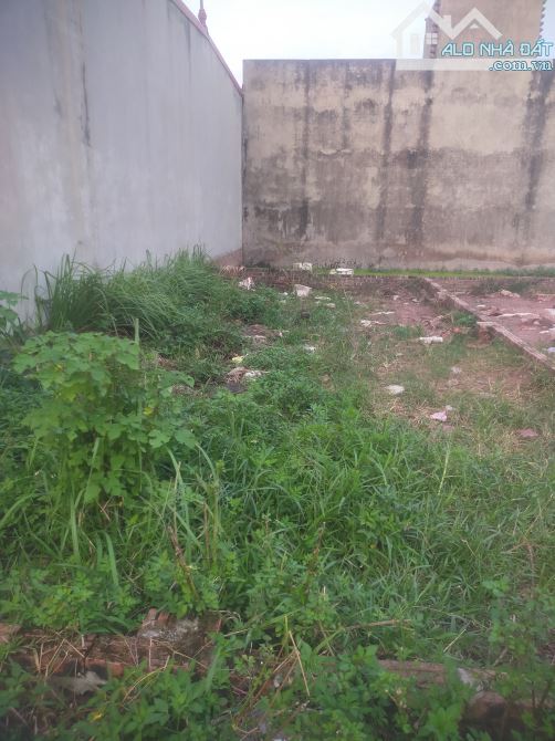 🏡 Bán gấp mảnh đất siêu hót- nguyên khê đông anh- DT 88m2 giá cực hấp dẫn - 2