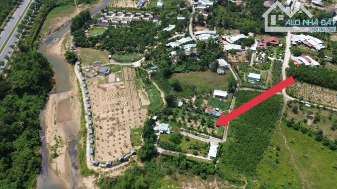 Bán khu vườn bưởi 900m2 đất trồng cây hằng năm trên hòa ninh - 1