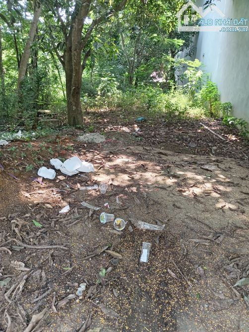 Bán 272m2 đất cây lâu năm Khoang Mái, Đồng Trúc _ Thạch Thất - 2